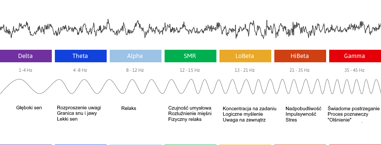 EEG Biofeedback Kraków